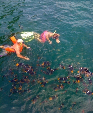 Abundancia marina en snorkel